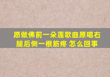 愿做佛前一朵莲歌曲原唱右腿后侧一根筋疼 怎么回事